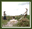 Irrigation des rizi&egrave;res